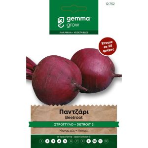 Παντζάρι στρογγυλό Detroit 2 Φάκελος