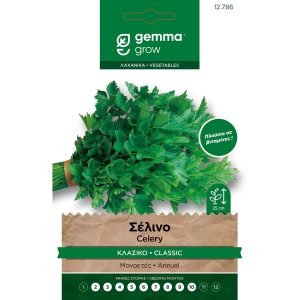 Σέλινο κλασικό Φάκελος