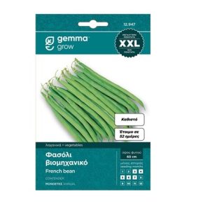 Φασόλι 814 τσαουλί αμερικάνικο νάνο 10τμχ