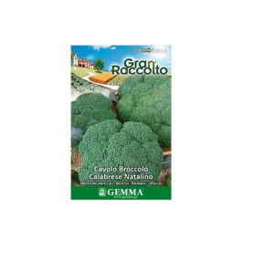 Μπρόκολο raccolto 0666 Φάκελος