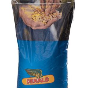 Σπόρος Καλαμπόκι DKC 6980 - 50.000 σπόρων Acceleron Elite